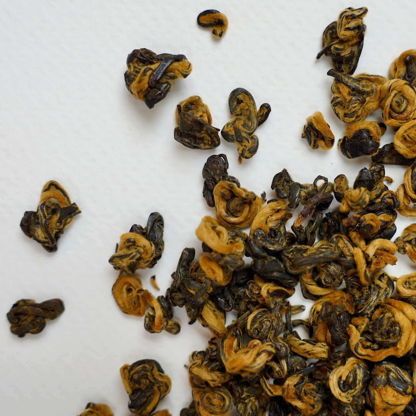 Yunnan Black Gold – Bi Luo Chun Style Black Tea
