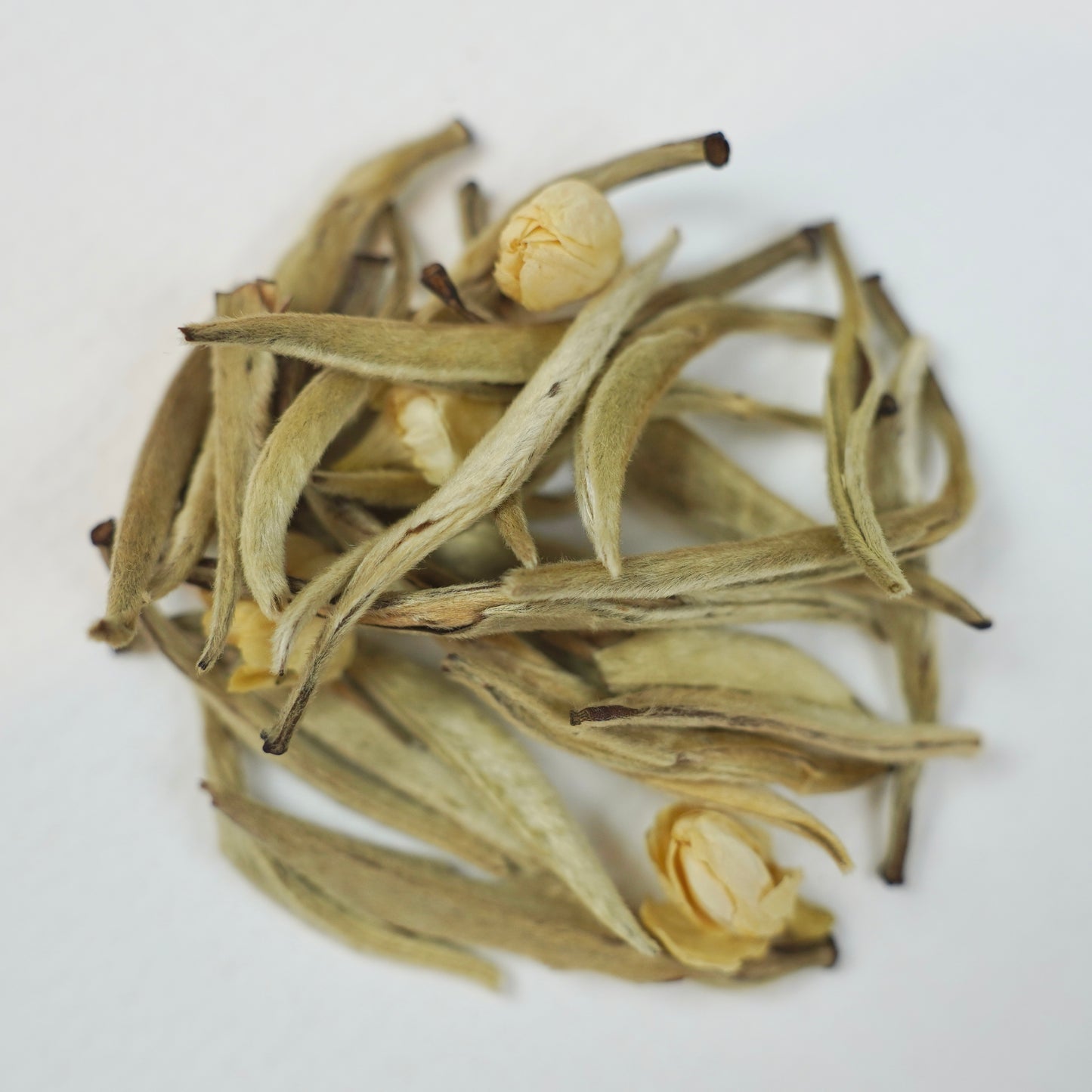 Jasmine Silver Needles – White Tea