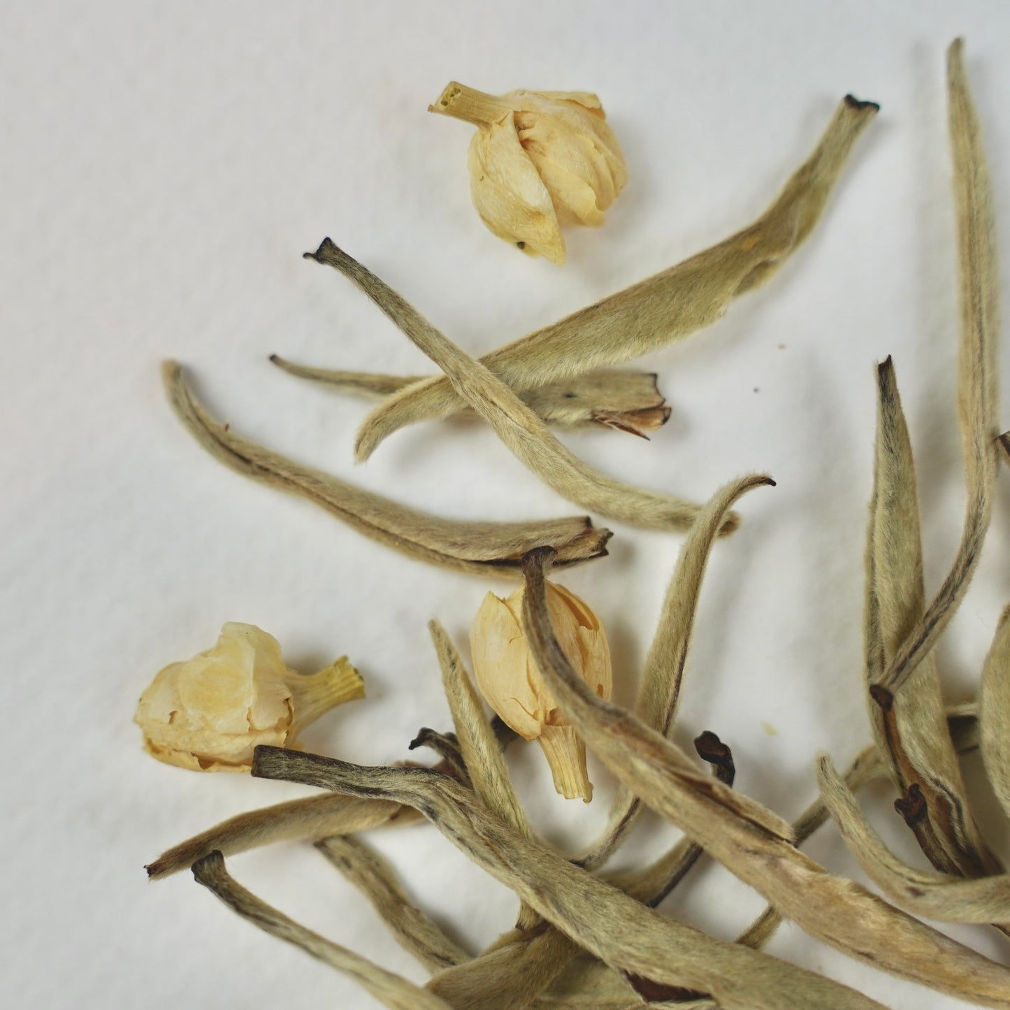 Jasmine Silver Needles – White Tea