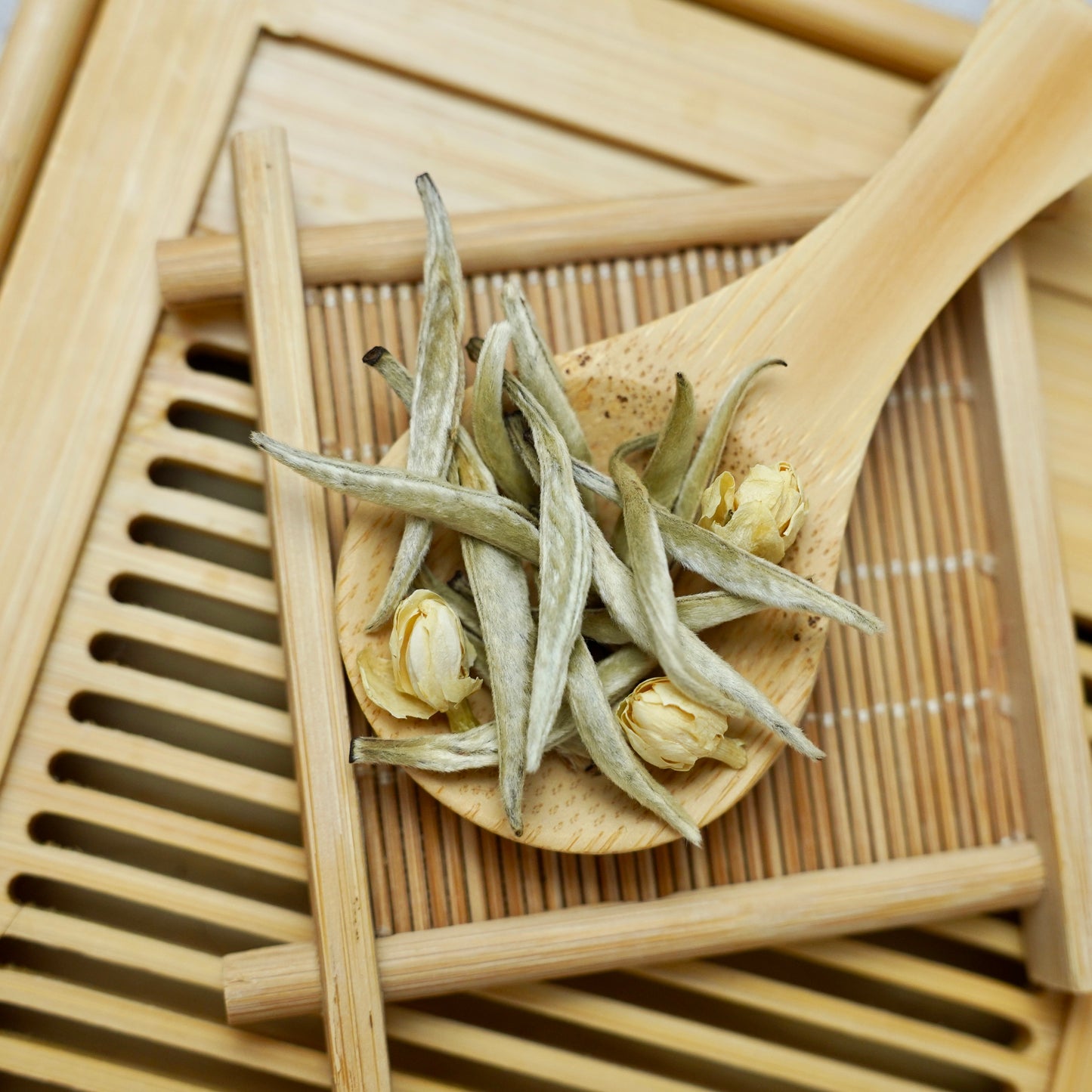Jasmine Silver Needles – White Tea